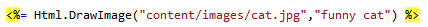 Html Helper