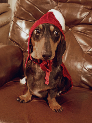 Santa's little HTML helper